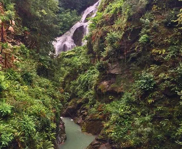 Daniel House Apartment