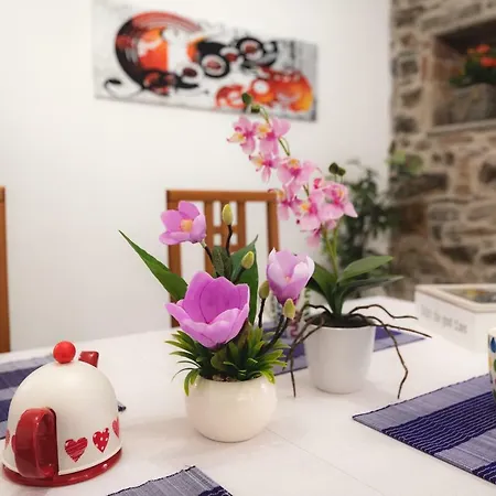 Daniel House 贝拉诺